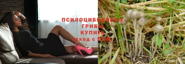 мяу мяу мука Балахна